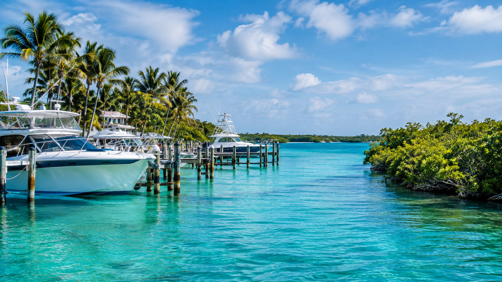 Blue Water Marina: Florida Traveler’s Planning Guide